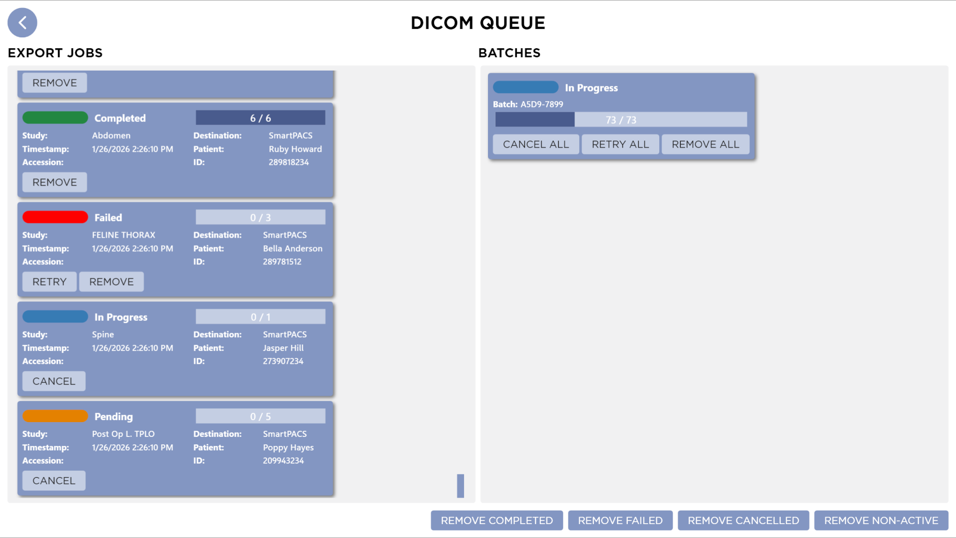 DICOM Queue Screen