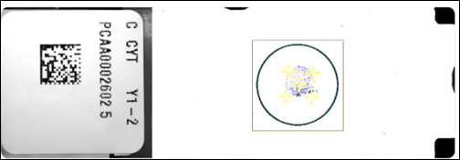 Cytospin Prep