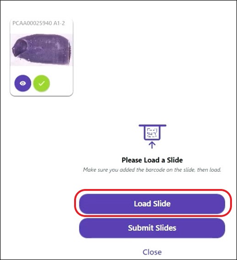 Load Second Slide