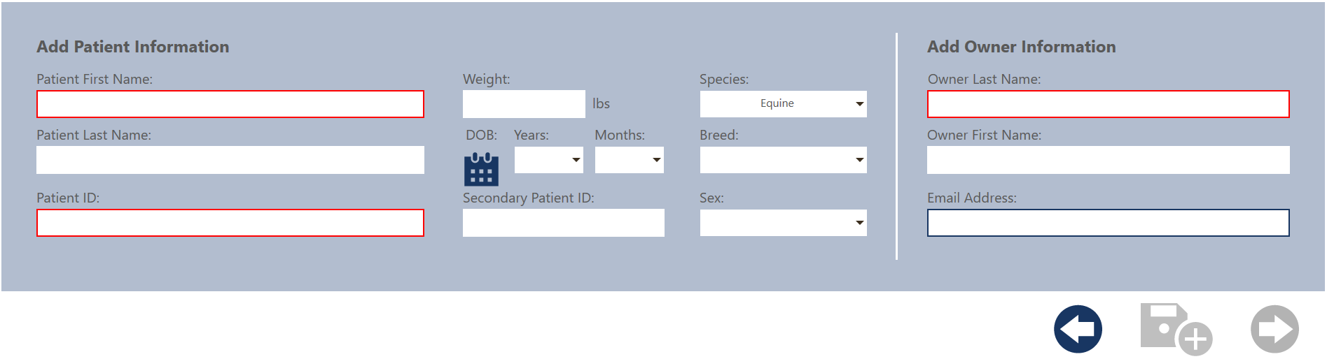 Input Patient Information