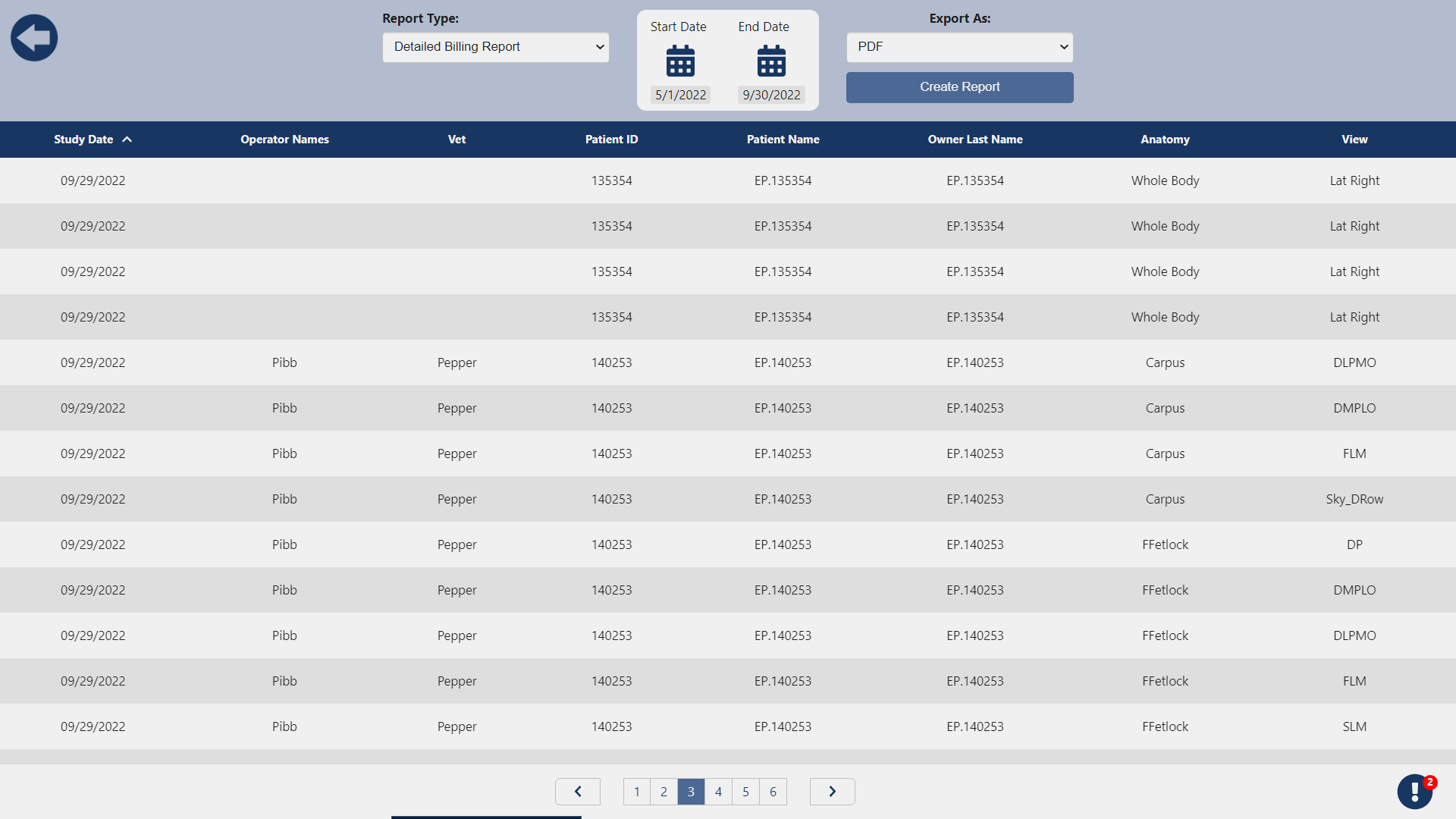 Detailed Billing Report