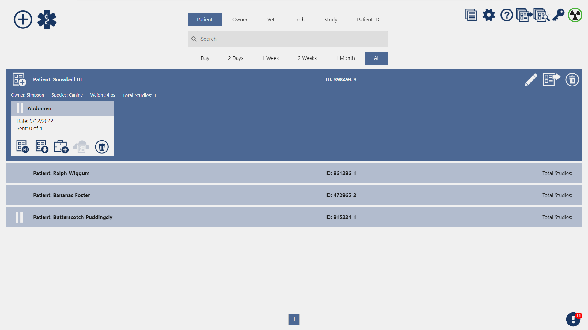 Main Patient Screen