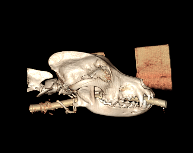 3D Mode MIP