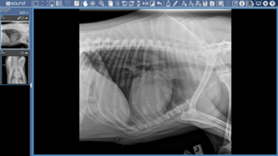 ThumbnailReorientation1