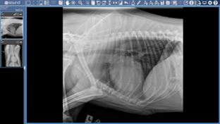 ThumbnailReorientation2