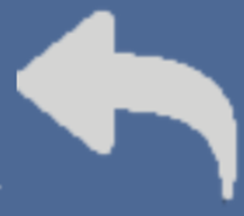 Undo Tool Active