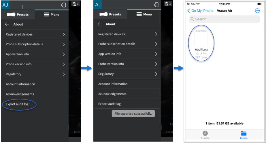 iOS audit log export