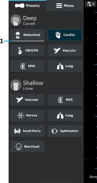 Preset as default