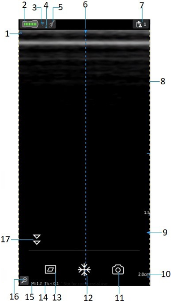 Display Screen - Linear